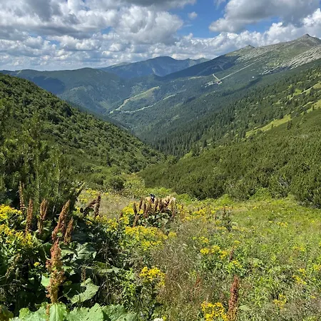 Elements Chopok Villa